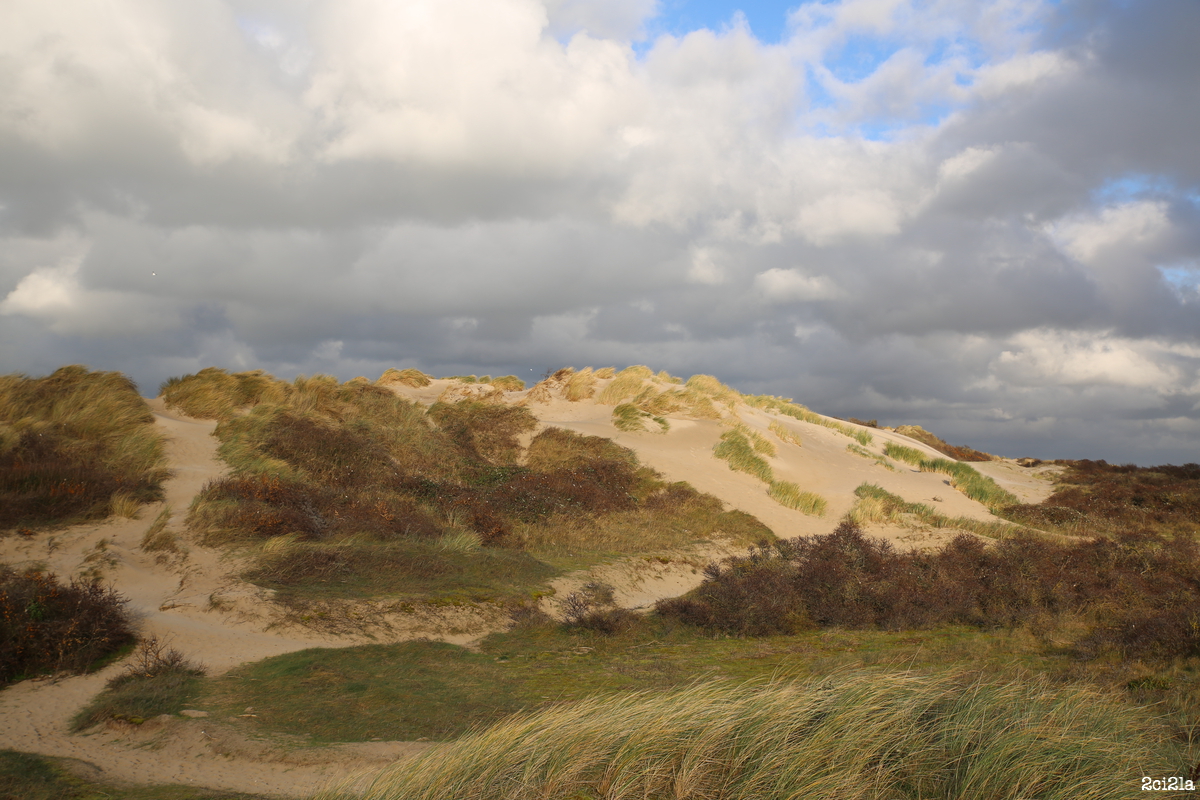 Dunes de la Mollière. Janvier 2016