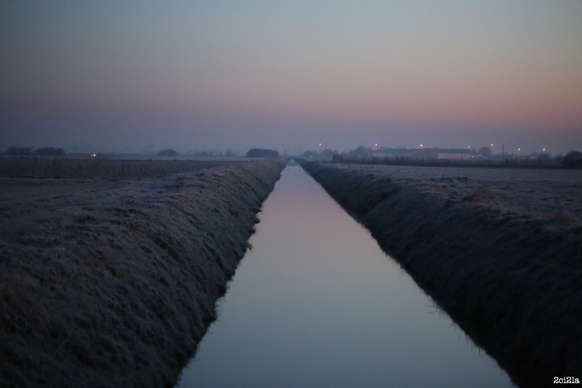 Bas champs de Cayeux, janvier 2016