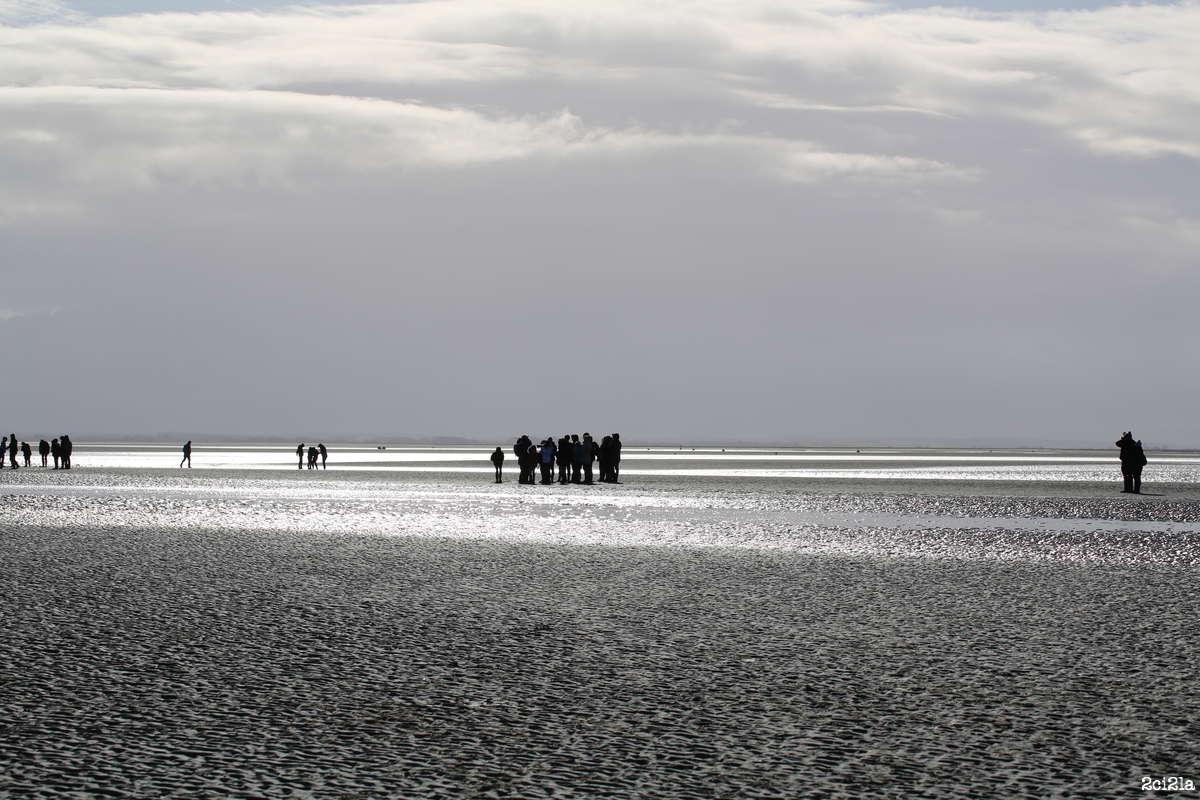 Le Hourdel, avril 2016