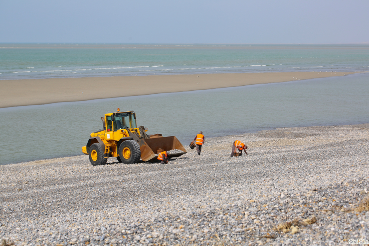 Prélèvements côtiers de galets, Cayeux-sur-Mer, mars 2016
