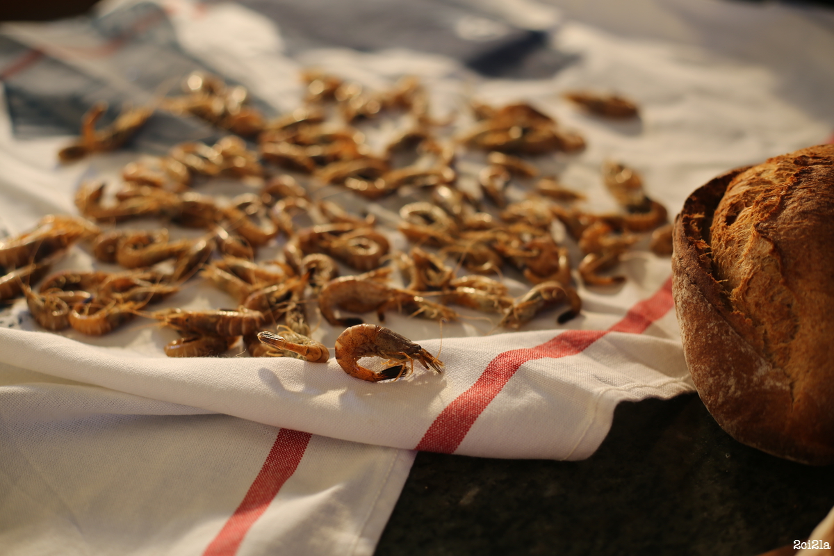 Crevettes grises