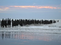 Un projet de production de moules de bouchot à Cayeux-sur Mer