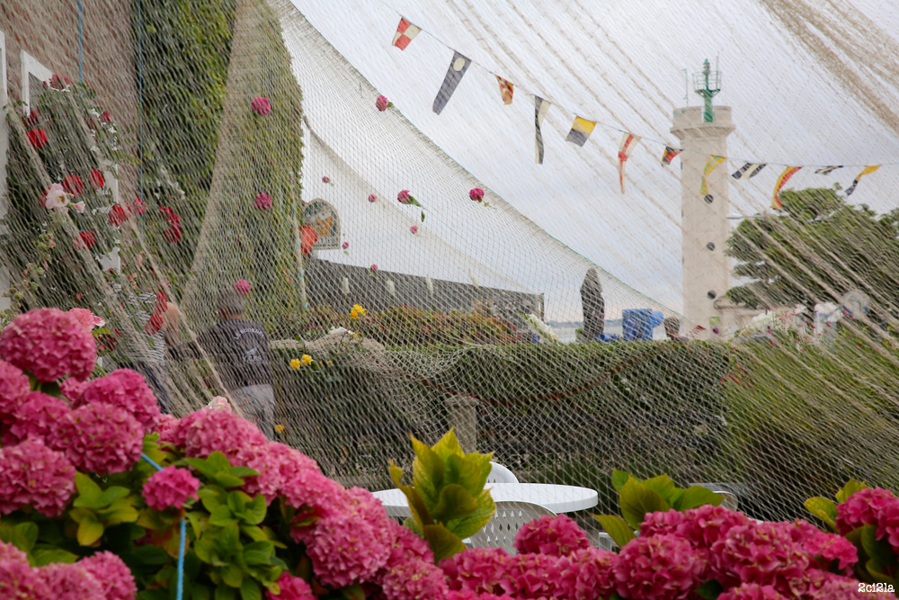 Le Hourdel. Dimanche 24 juillet 2016. Décoration des maisons pour la fête de la mer