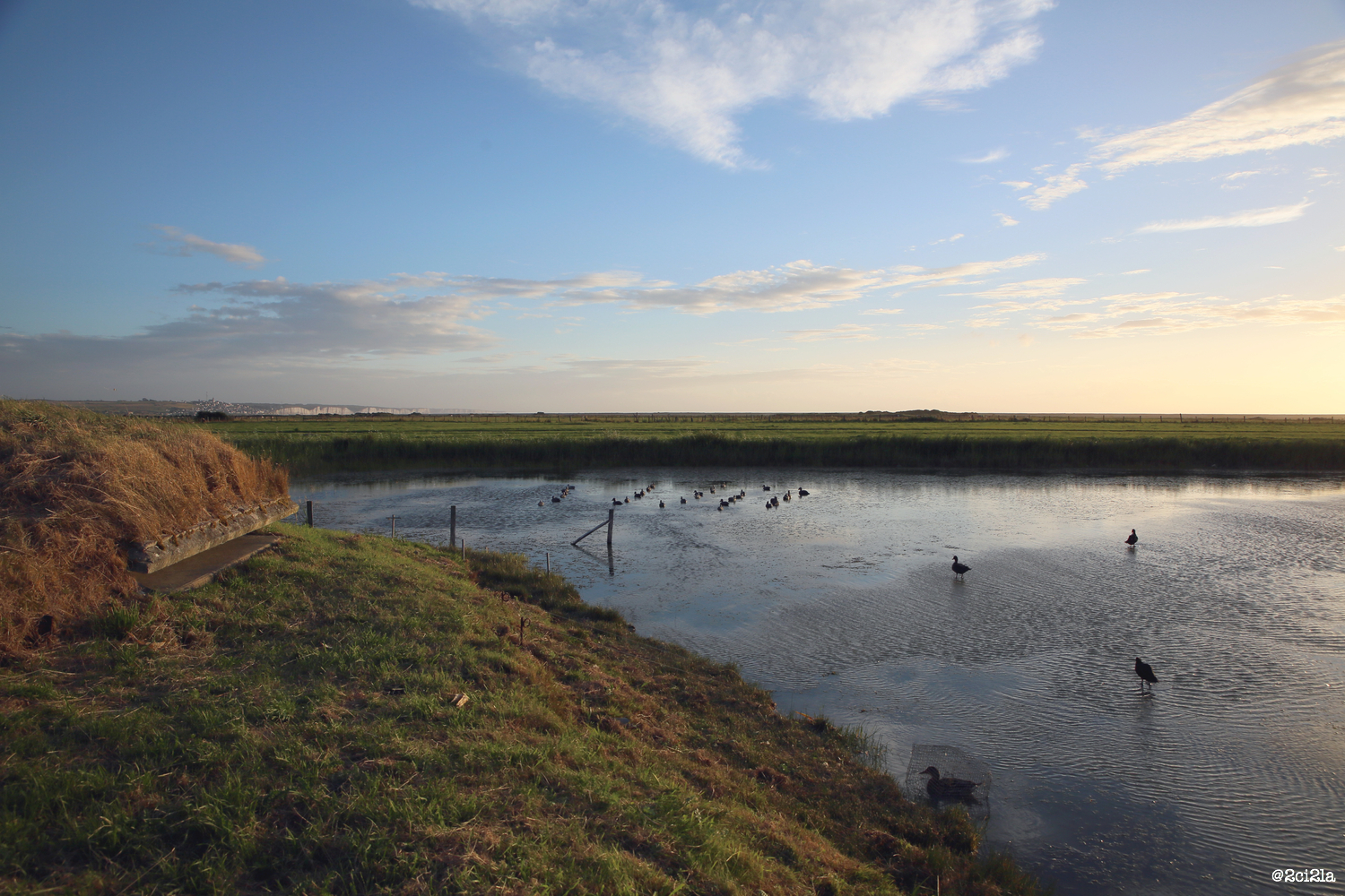Hutte de chasse communale de Cayeux-sur-Mer