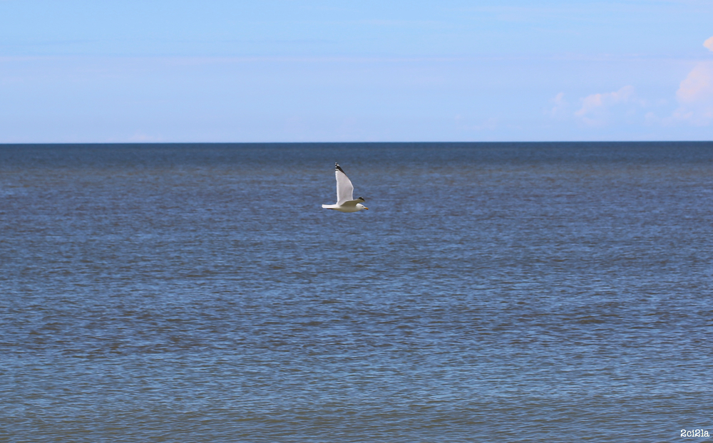 Cayeux-sur-Mer