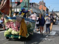 15 août : Cayeux en fleurs !