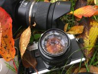 Concours photo : “Cayeux, couleurs d’automne”