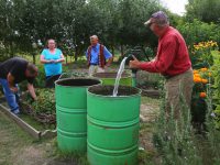 Le Jardin d’insertion