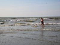 A la pêche aux crevettes