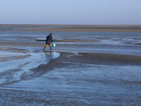 Parc naturel marin : les objectifs pour 2017