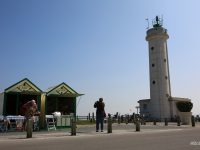 Rencontre : Au Hourdel, Mimi et Michel Masson sculptent leurs oiseaux de bois en public