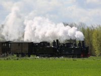 🚂 Fête de la gare : venez à Cayeux-sur-mer en train à vapeur !