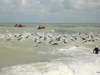Triathlon 2018 : Inscriptions en ligne