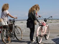 Bourse aux vélos