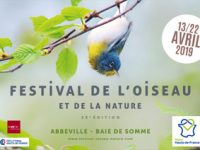 Festival de l’oiseau et de la nature : c’est bientôt !