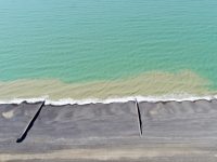 Ouvrez la fenêtre, écoutez la nature !