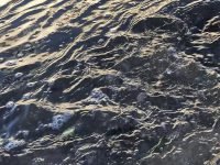 Levée de l’interdiction d’activités nautiques
