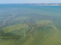 Grandes marées en baie de Somme : le time-lapse !
