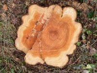 Bois de chauffage