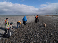 Du coeur, des bras, des sacs : une vague de propreté à Cayeux-sur-Mer !