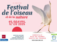 Le Festival de l’oiseau 2025, c’est bientôt !