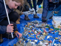 462,07 kg… tout pile ! Une belle récolte de déchets à Cayeux-sur-Mer