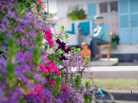 Cayeux-sur-Mer, ville fleurie, en toute nature !