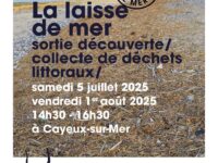 Sortie nature : à la découverte de la laisse de mer